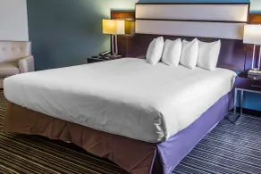 Quality Inn Streetsboro - Kent - Chambre