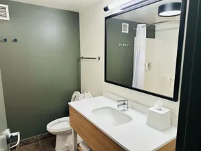 Spark by Hilton Salem East Electric Road - Bathroom