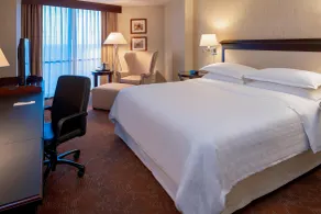 Sheraton Houston Brookhollow Hotel - Chambre