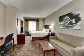 Best Western Plus University Inn & Suites - Chambre