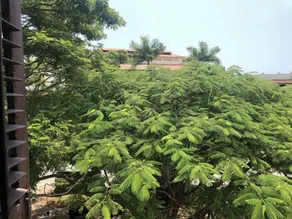 Beyt Al Salaam - View from room