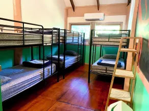 Jackaroo Treehouse Mission Beach - Habitación