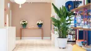 Hotel Plaza - Réception
