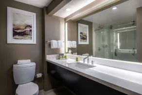 DoubleTree by Hilton Los Angeles - Norwalk - Salle de bain