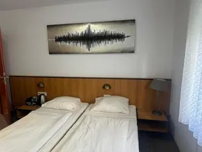 Hotel Neue Traube - Habitación