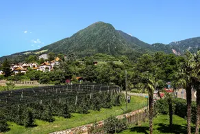 Guesthouse Pension Grafenstein - View from room