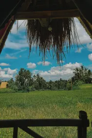 Swaha Retreat & Eco Park Ubud - Ausblick vom Zimmer
