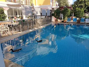 Hotel Barlas Fethiye - Pool