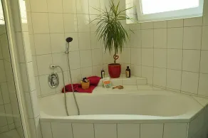 Apart Dirndltal - Badeværelse