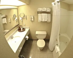 Holiday Inn Express Hotel & Suites Fenton/I-44 by IHG - Salle de bain