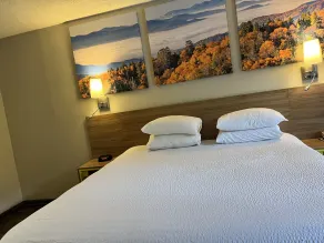 Days Inn by Wyndham College Park Airport Best Road - Chambre