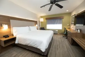 Holiday Inn Express Hotel & Suites Clinton by IHG - Chambre