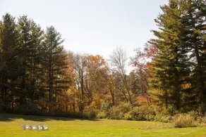 The Litchfield Inn - Vue de la chambre