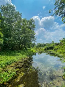 Kings jungle safari & Culture home stay - Exterior