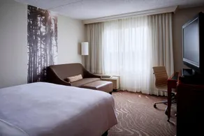 Detroit Metro Airport Marriott - Chambre