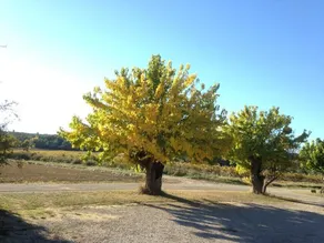 Domaine de Pélican - Habitación