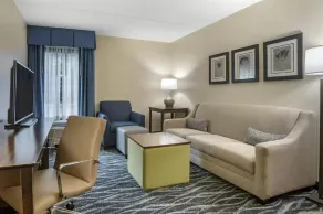 Comfort Inn & Suites Newark - Wilmington - Zimmer