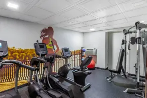 Clarion Pointe Racine - Mount Pleasant - Sala de fitness