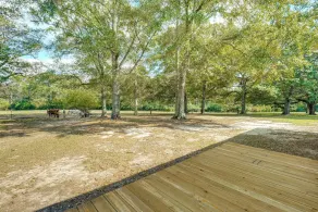 6 Mi to Main St Poplarville: Cabin w/ Pasture View - Interiør