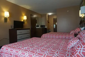 Bellevue Hotel and Suites - Chambre