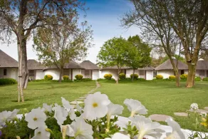 Protea Hotel by Marriott Oudtshoorn Riempie Estate - Room
