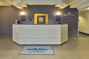 Microtel Inn & Suites Leesburg - Réception