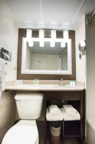 Wyndham Rochester Downtown - Salle de bain