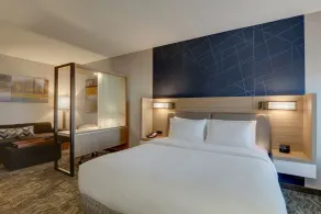 SpringHill Suites by Marriott Cheraw - Habitación