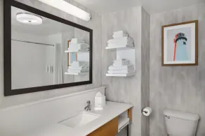 Hampton Inn & Suites Detroit/Sterling Heights - Bathroom