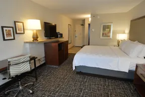 Holiday Inn Hotel & Suites Minneapolis-Lakeville by IHG - Room