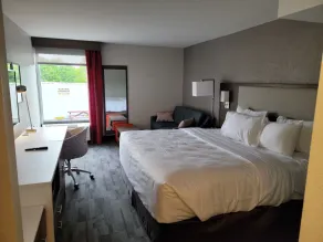 Comfort Inn & Suites Wyomissing-Reading - Chambre