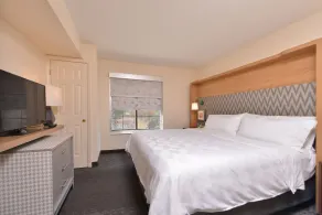 Holiday Inn & Suites Raleigh Cary by IHG - Room