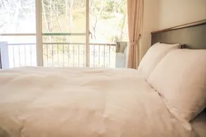 Mountain Lodge - Værelse