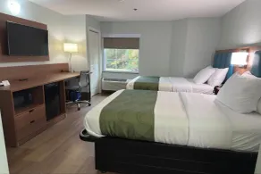 Wingate by Wyndham Macon I-475 - Chambre