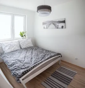 Apartament F&J - Rum