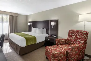Comfort Inn Airport West - Chambre