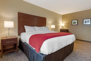 Comfort Inn & Suites Michigan City South - Chambre