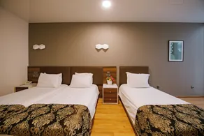 Iveria Inn Hotel - Habitación