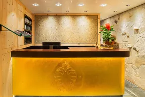 Hotel Goldener Adler - Réception
