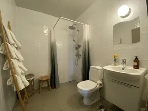Dalshöfdi Guesthouse - Badeværelse