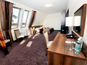 Hotel Austeria Conference & Spa - Room