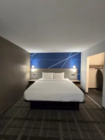 Comfort Inn & Suites Savannah Airport - Chambre