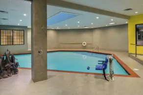 Holiday Inn Dallas-Richardson by IHG - Basseng