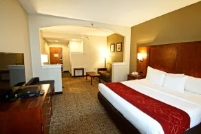 Comfort Suites Near University - Chambre