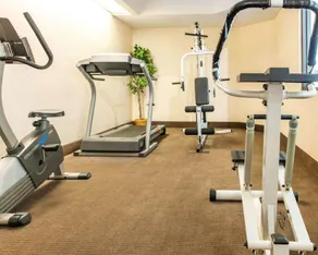 Sleep Inn Elkhart North - Salle de remise en forme