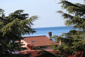 VILLA NIKOLA Ferienwohnung mit 1 Schlafzimmer mit Terrasse (Sanja) - Ausblick vom Zimmer