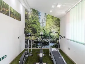 Luxury Villa Maxima - Fitness facility