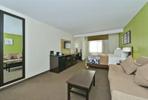 Sleep Inn & Suites Harrisburg - Hershey North - Vue de la chambre