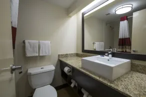 Red Roof Inn PLUS+ Houston - Energy Corridor - Bathroom