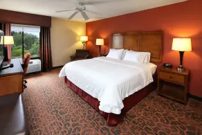 Hampton Inn & Suites Tucson-Mall - Chambre